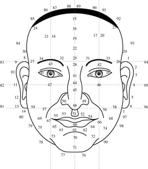 Chinese Face Reading