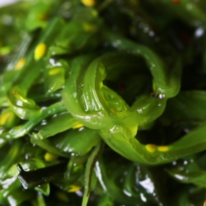 Seaweed Contains Iodine