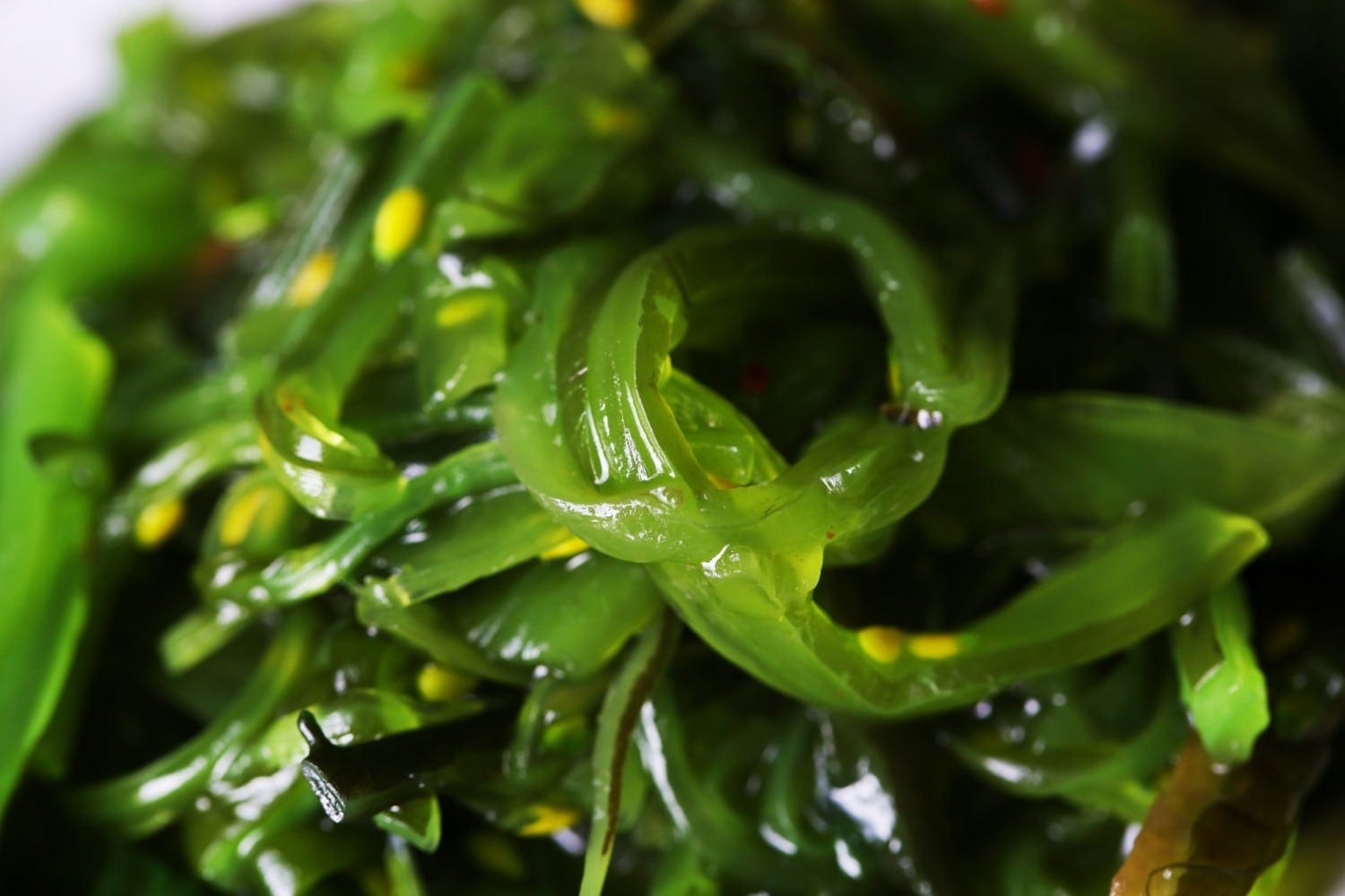 Seaweed Contains Iodine